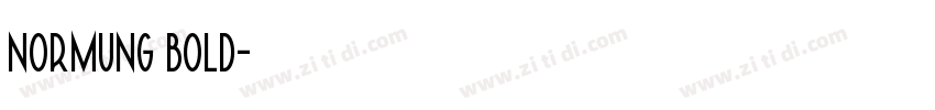 normung bold字体转换